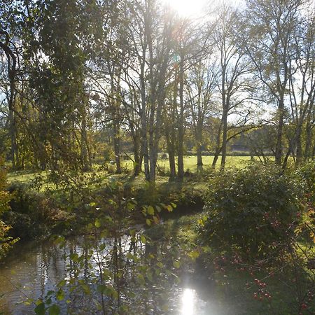 Mézilles Le Moulin Grenon Bed & Breakfast エクステリア 写真