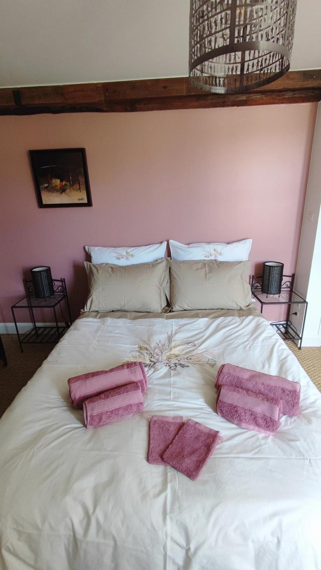 Mézilles Le Moulin Grenon Bed & Breakfast エクステリア 写真
