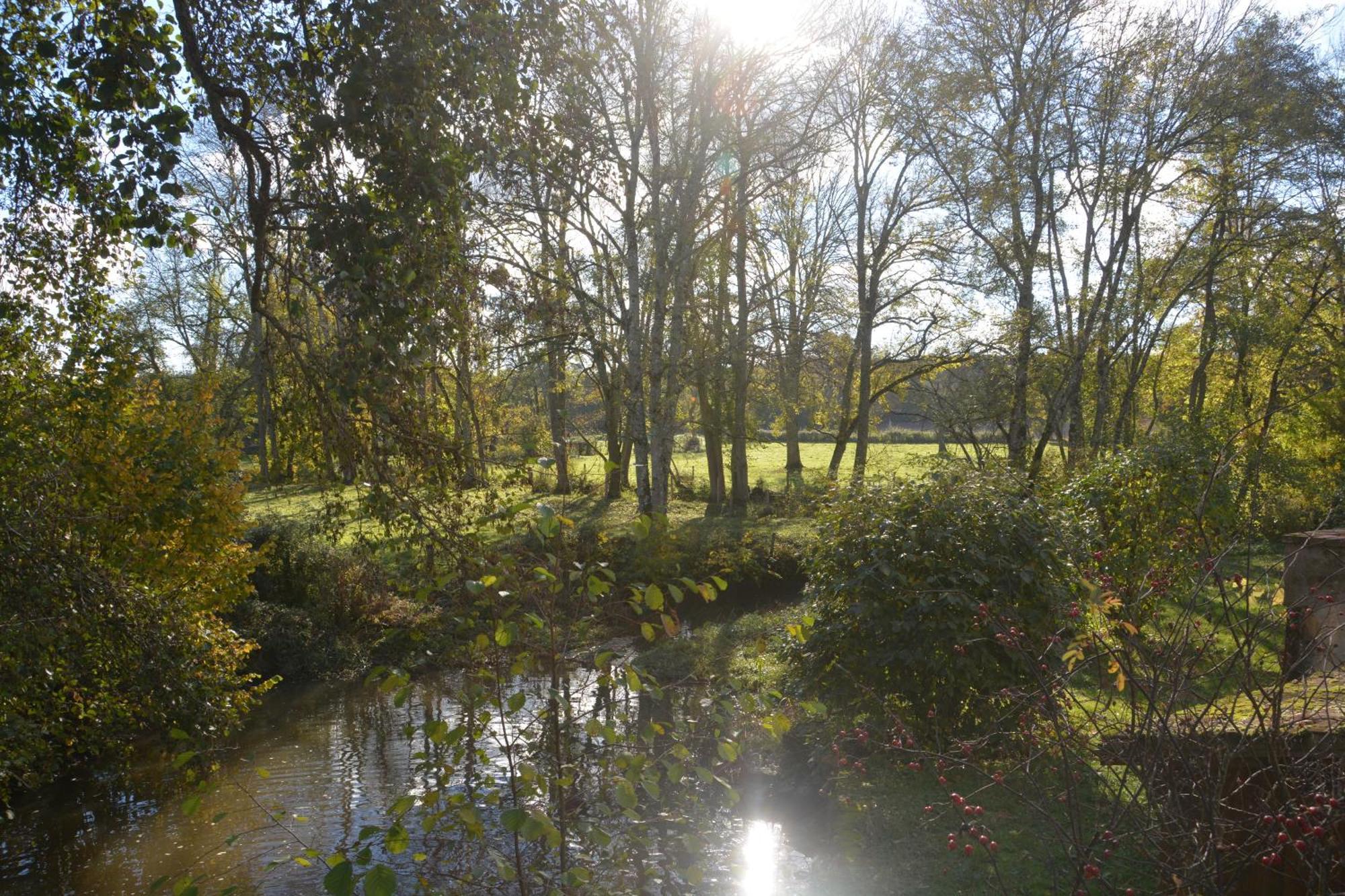 Mézilles Le Moulin Grenon Bed & Breakfast エクステリア 写真