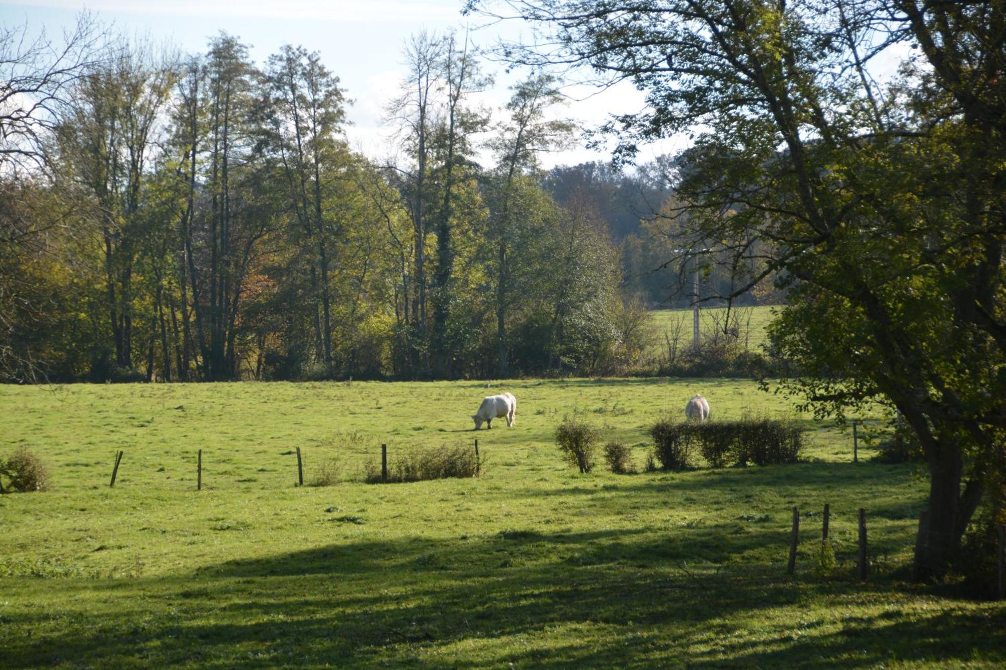 Mézilles Le Moulin Grenon Bed & Breakfast エクステリア 写真