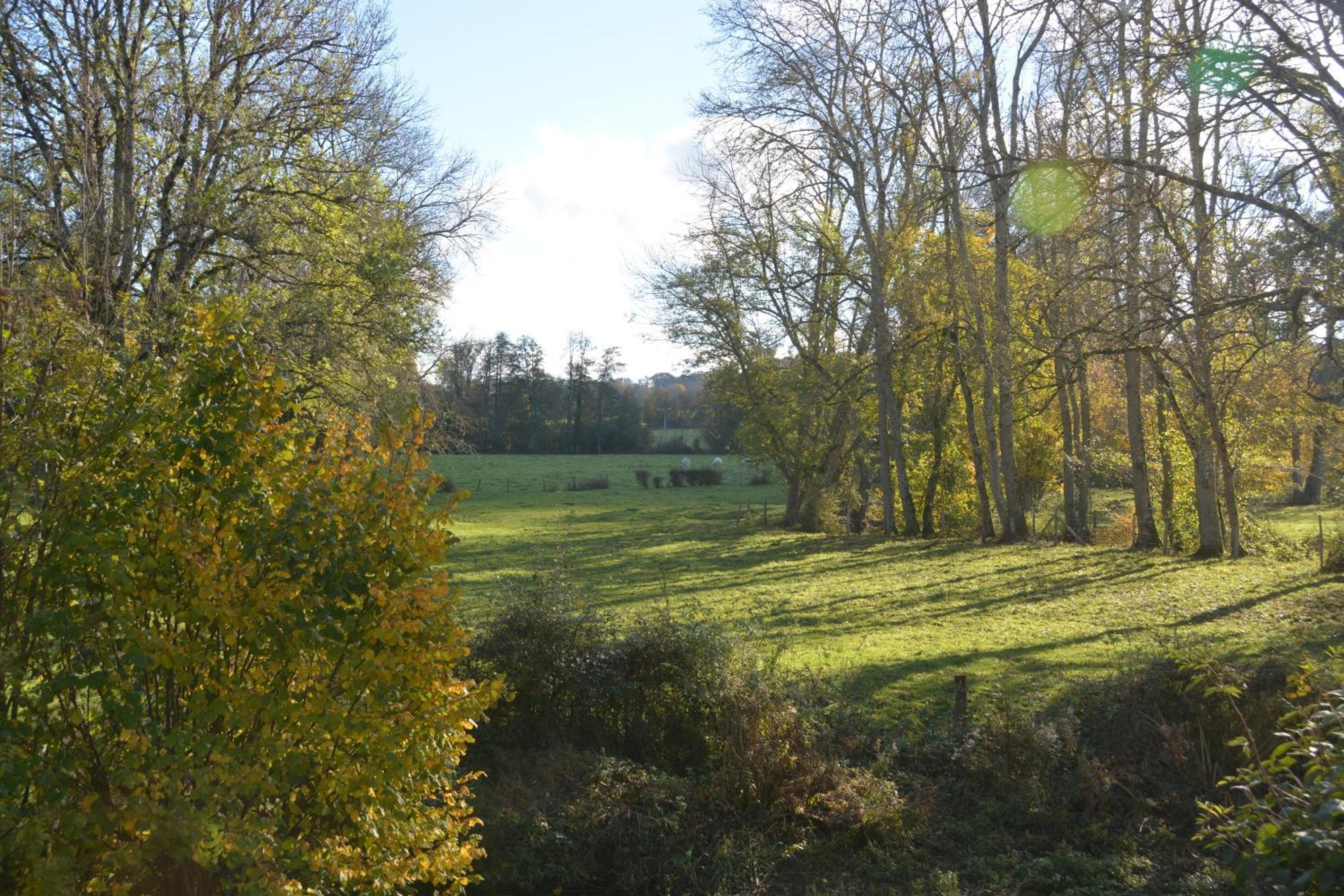 Mézilles Le Moulin Grenon Bed & Breakfast エクステリア 写真